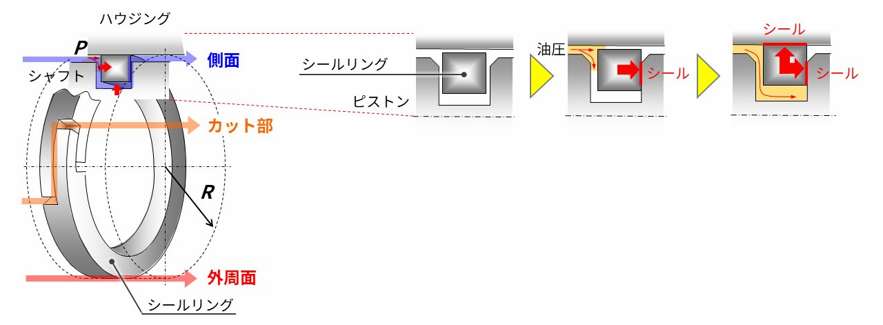 CS-Ring_fig1.jpg