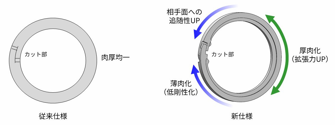 CS-Ring_fig2.jpg