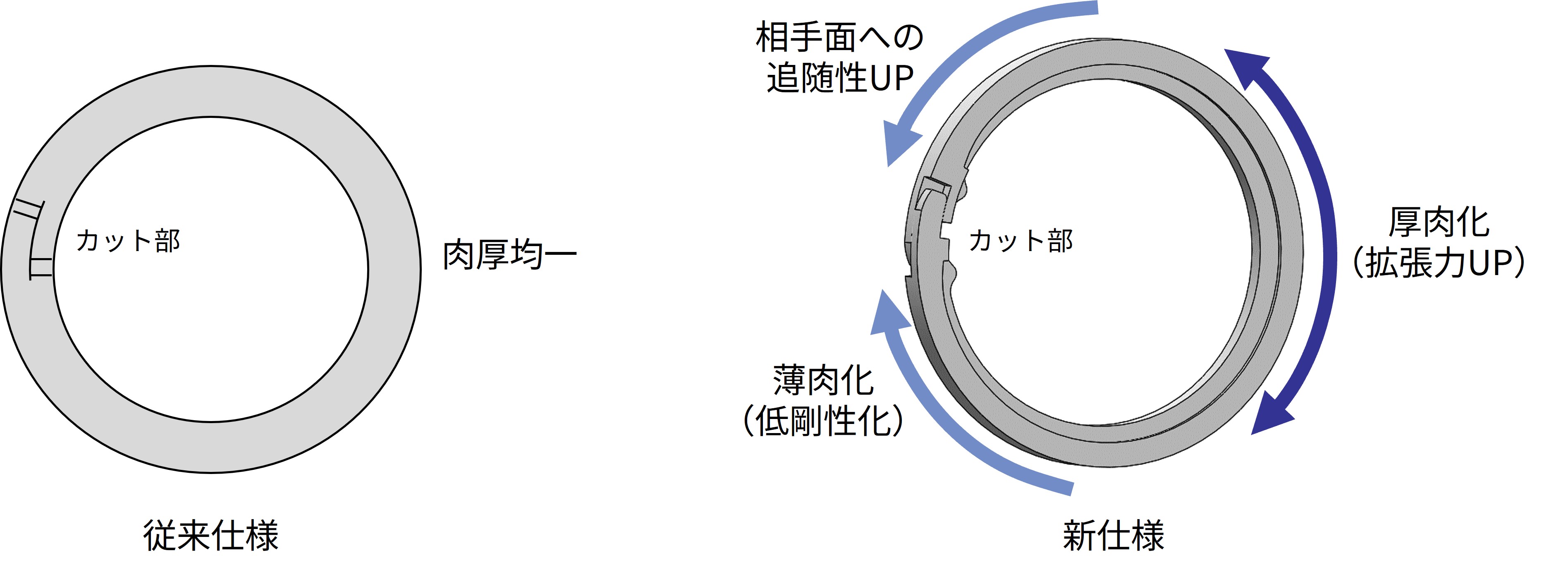 CS-Ring_fig6.jpg