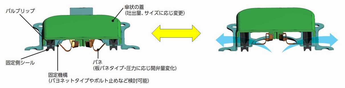 PRV_Largeflowtype_structure2.jpg