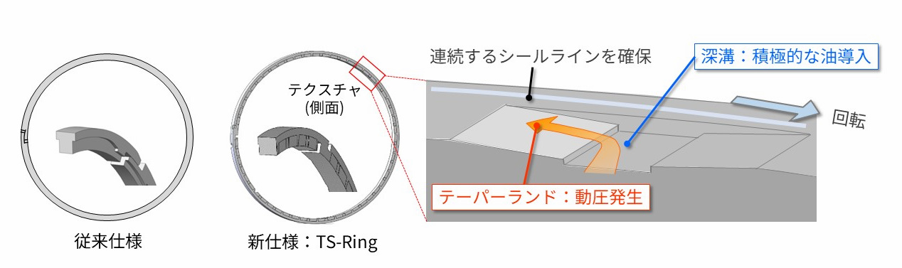 TS-Ring_fig2.jpg