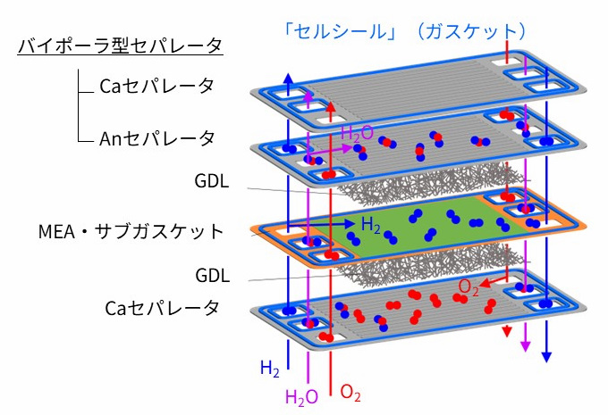 cellseal_fig5.jpg